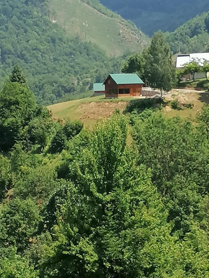 Etno Selo Zuric Βίλα Mojkovac Εξωτερικό φωτογραφία