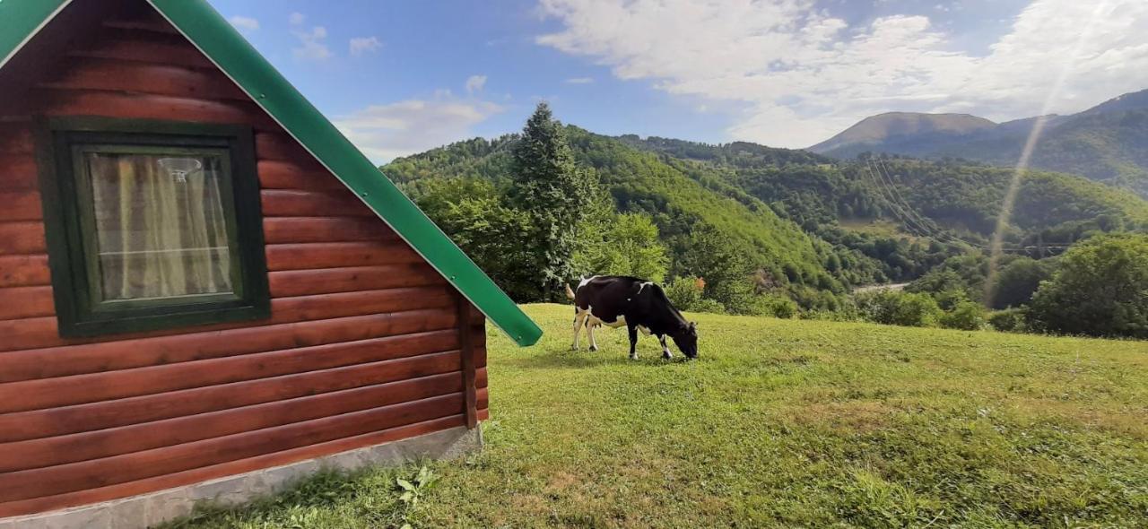Etno Selo Zuric Βίλα Mojkovac Εξωτερικό φωτογραφία