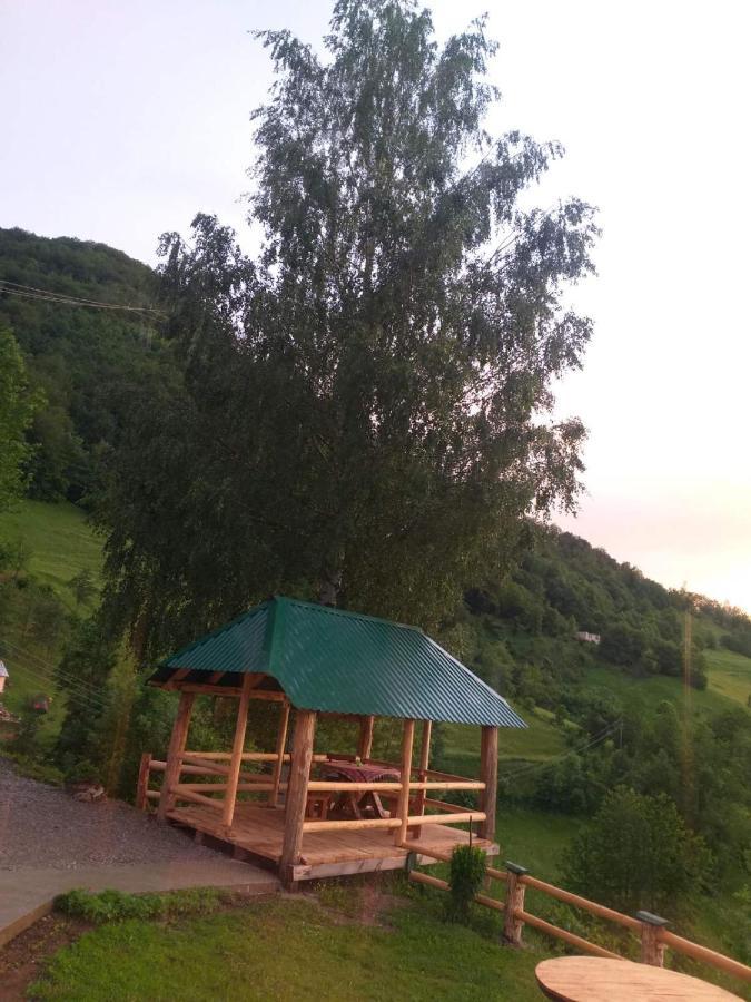 Etno Selo Zuric Βίλα Mojkovac Εξωτερικό φωτογραφία